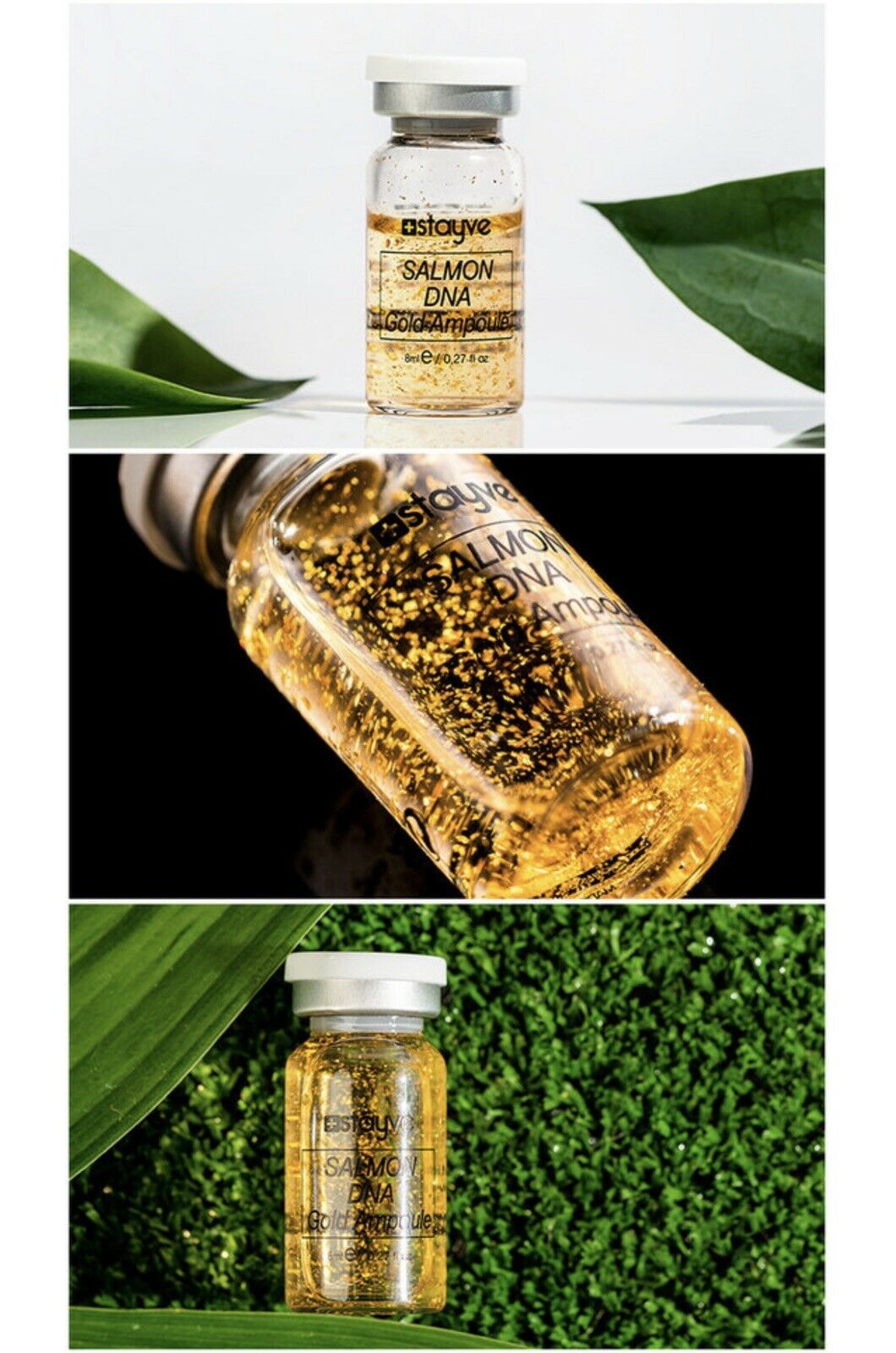 STAYVE BB Shine Glow Treatment Salmon DNA - Gold Ampoule 1 Vial 8ml - Authentic BB Shine Glow